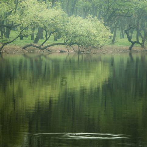北京利臣法律 客户的信任是公司发展的基石